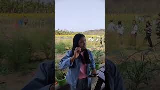 Download Lagu photo kana seksektokengana 🤩😍 MP3