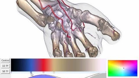 Size-based Transfer Functions
