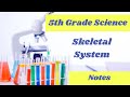 Skeletal System Quiz