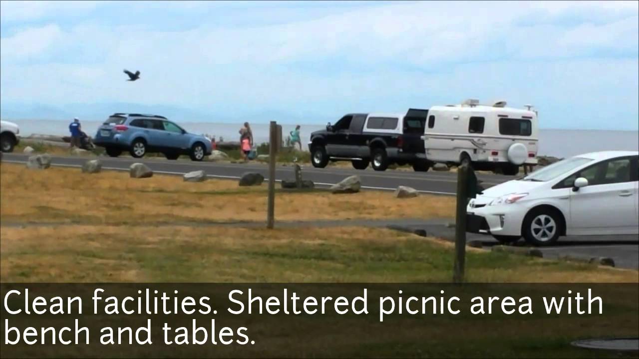 birchbay clamdigging Birch Bay Clam Digging YouTube