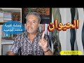 ومضة لغوية معنى الحيوان في الآية وإن الدار الآخرة لهي الحيوان محمد أبوعبيد