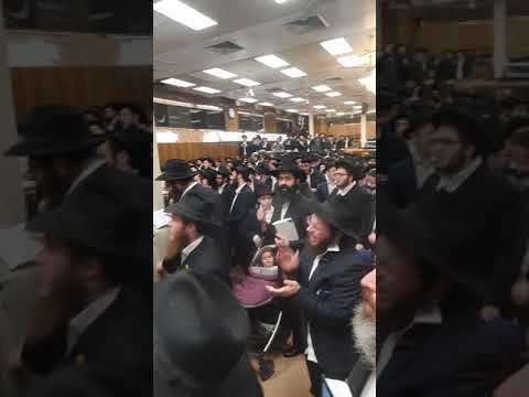 Hasidim Dancing And Singing In Brooklyn