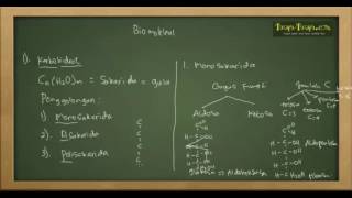 Belajar Kimia : Karbohidrat, Protein, Lipid Bagian 1