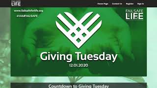 Auctria GivingTuesday website examples.