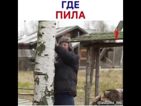 интерскол пцб 4000. интерскол пцб-16/40л. номер где пила. бензопила пит шина 450. где пила.