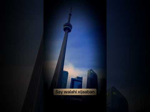 Xariir Ahmed Hees Cusub Say Walaahi Waxa Sagalka Muuqda La Nooca Dahabshiil Naguibsawiris Shot 