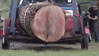 The Biggest Log I've Ever Caught!!! by Wylde Woodworks 4,023 views 1 year ago 15 minutes