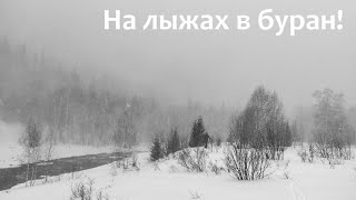 картинка: Проходной белок и Громотуха на лыжах!