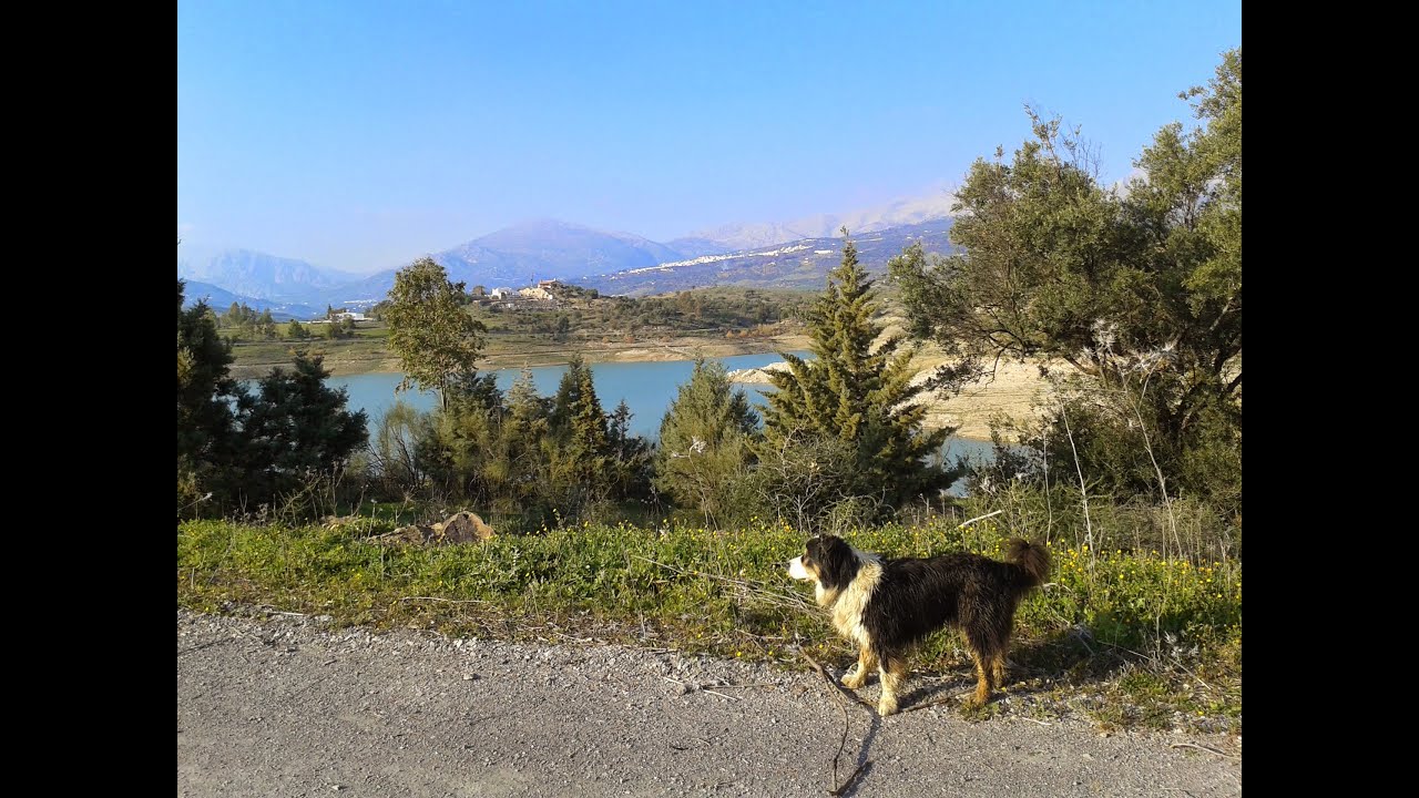 Wandern mit Hund in Spanien YouTube