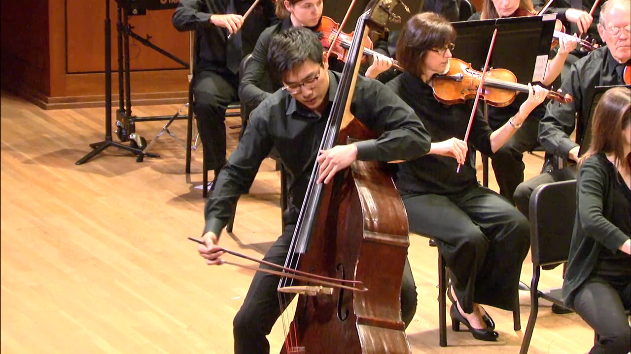Austin Civic Orchestra 2017 Texas Rising Stars Concert, Doo Woong