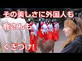 【本当の海外の反応】その美しさに外国人も鹿さんも釘付け!奈良の美人巫女さんたちのダンス!スマホで1番良い旅行写真と動画が撮れた瞬間