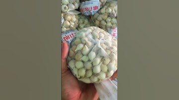 Phân biệt Tỏi Lý Sơn và Tỏi Bắc