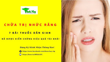 7 Cách Chữa Đau Răng Hiệu Qủa Tại Nhà Hoàn Toàn Miễn Phí | Thuochay.vip Hướng Dẫn