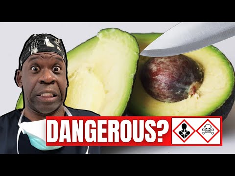 Video: Avocado Repotting Guide – När och hur man ompotterar en avokado