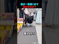 誰が歯磨き粉を一番遠くまで飛ばせるか?
