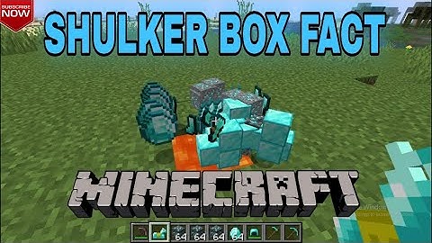 SHULKER BOX FACT | Astral Vexx.