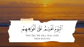 اليوم نختم على افواههم وتكلمنا ايديهم 🍁 حالات واتس اب دينية قصيرة مؤثرة قرآن كريم تلاوة خاشعة انستا