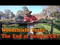 Product Review, Woodshield Posts - The End of Toxic CCA Pine?