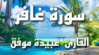 سورة غافر  القاريء / عبيدة موفق