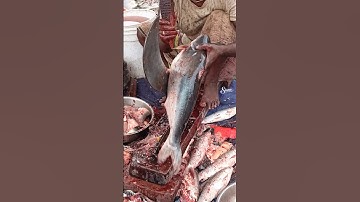 Amazing Pangasius Fish Cutting Technique 😱 #shortsfeed