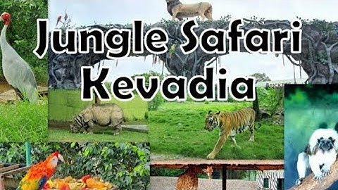 Jungle Safari at Statue of Unity Part-2#travel #vlog #youtube #junglesafari
