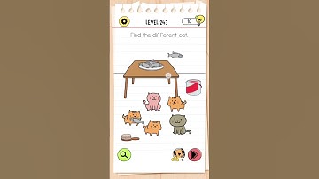 brain test 4 level 243