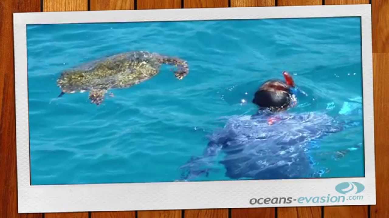 Oceans Evasion, location de catamarans et voiliers aux Seychelles