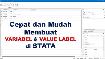 Membuat VARIABEL & VALUE LABEL di STATA