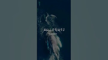 #اكتب شي تؤجر عليه …  ~~~~~~~القارئ   اسلام صبحي