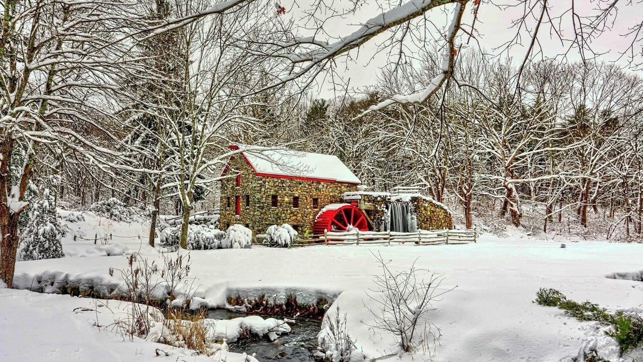 February 22, 2026  First Sunday in Lent