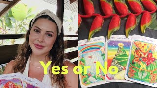 *Pick a Card* Tarot Reading 🔮 Yes or No | Rainbow Harmony Tarot