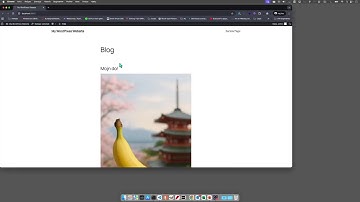 WordPress Playground in Visual Studio Code