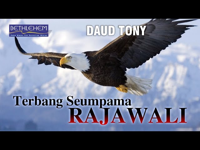 Terbang Seumpama Rajawali - Daud Tony class=