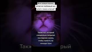 Мемас из ТикТока #ржака #юмор #мемы #жиза #смешно #угар #прикол #шутки #shorts