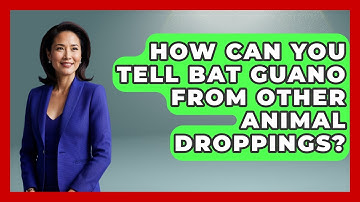 How Can You Tell Bat Guano From Other Animal Droppings? - Insects and Invaders