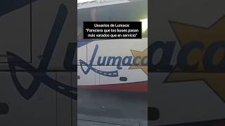 Usuarios De Lumaca Pareciera Que Los Buses Pasan Más Varados Que En Servicio