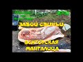 ЗАБОЙ СВИНЬИ. ВЕНГЕРСКАЯ МАНГАЛИЦА