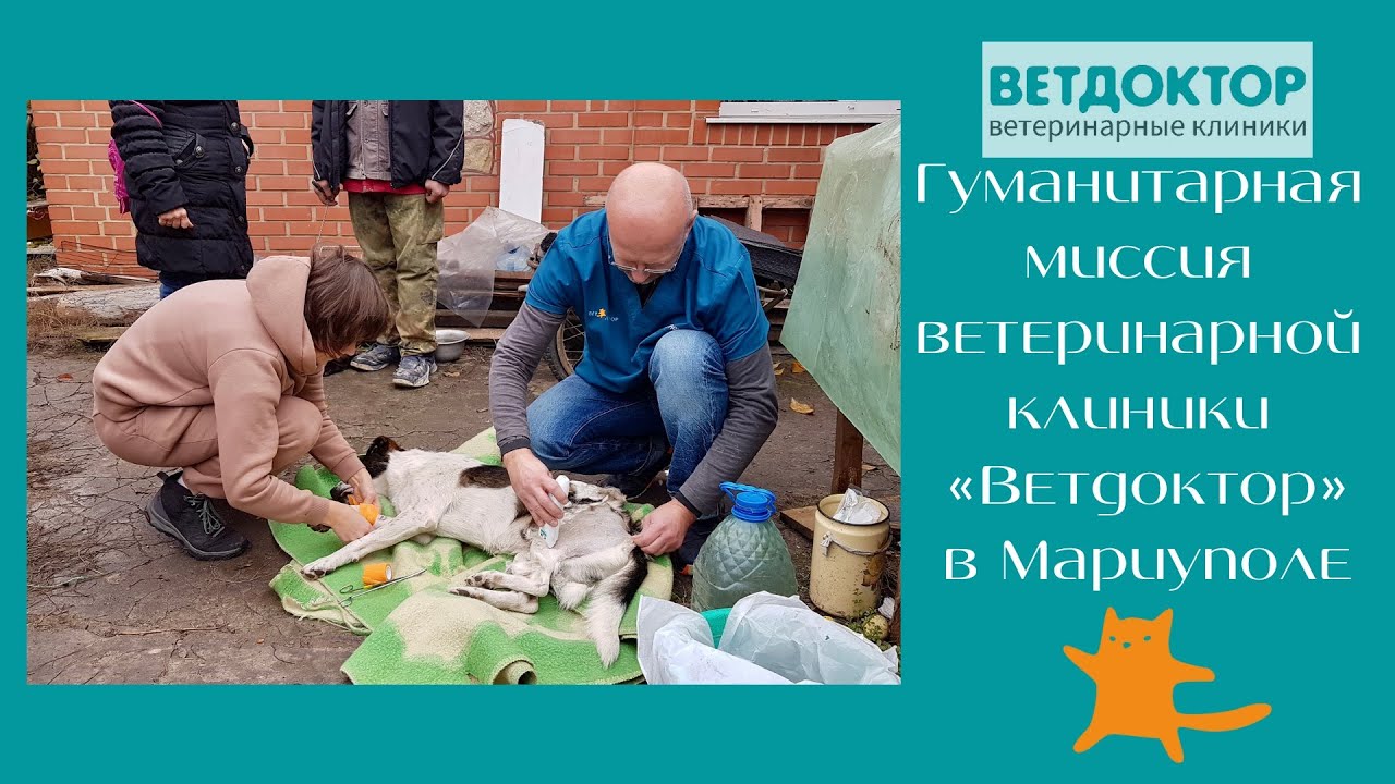 Гуманитарная миссия ветеринарной клиники \"Ветдоктор\" в г.Мариуполь ...