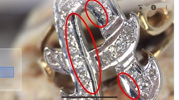 Editing Macro Lens Photo with a Smartphone and Snapseed - Matthew Perosi