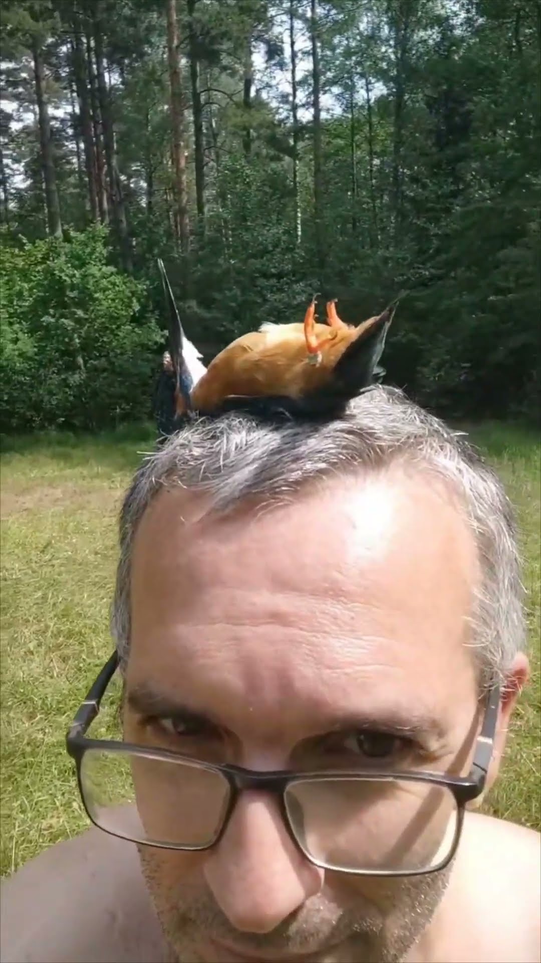 Man Films Hummingbird Motionlessly Resting on His Head