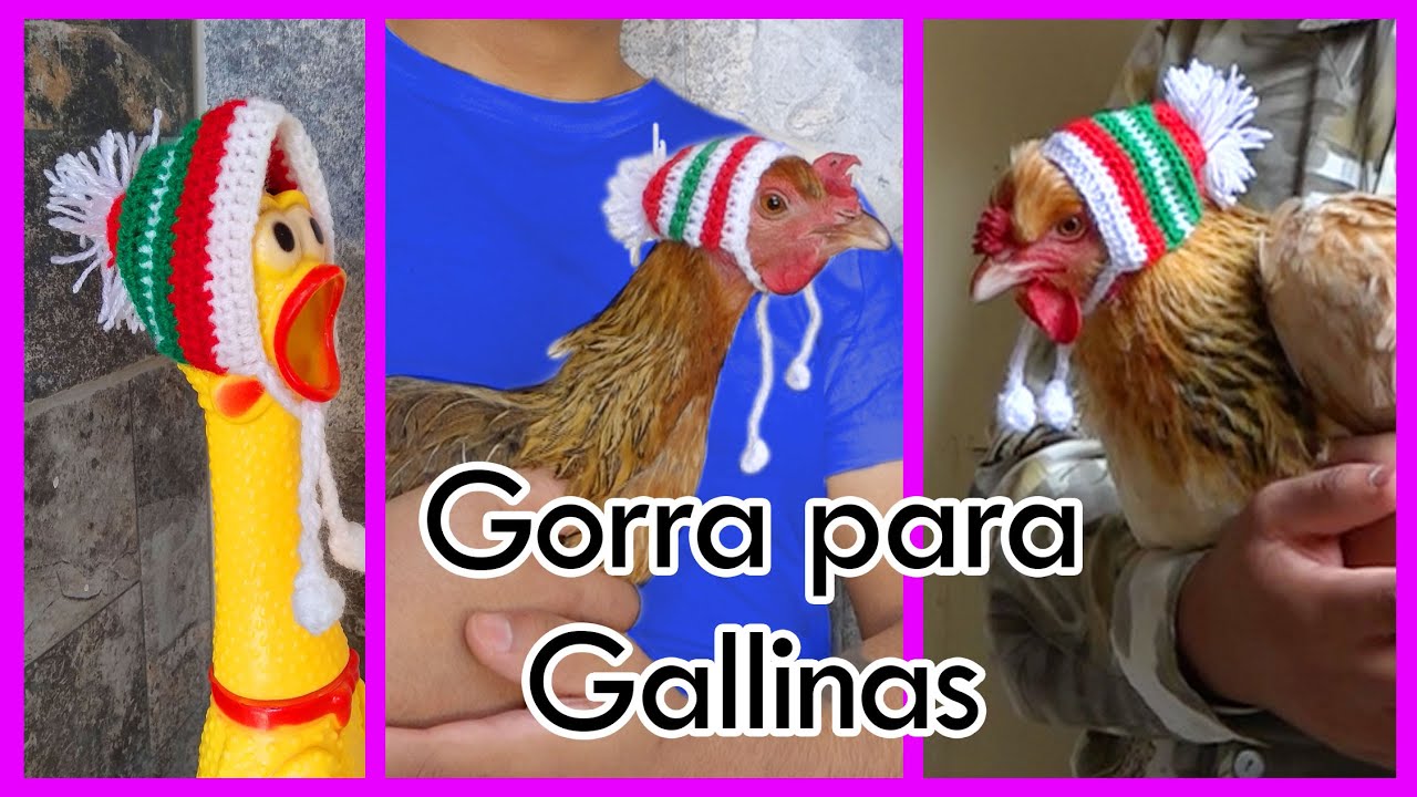 Navideña crochet para Gallina mascota 🐓🐔 - YouTube
