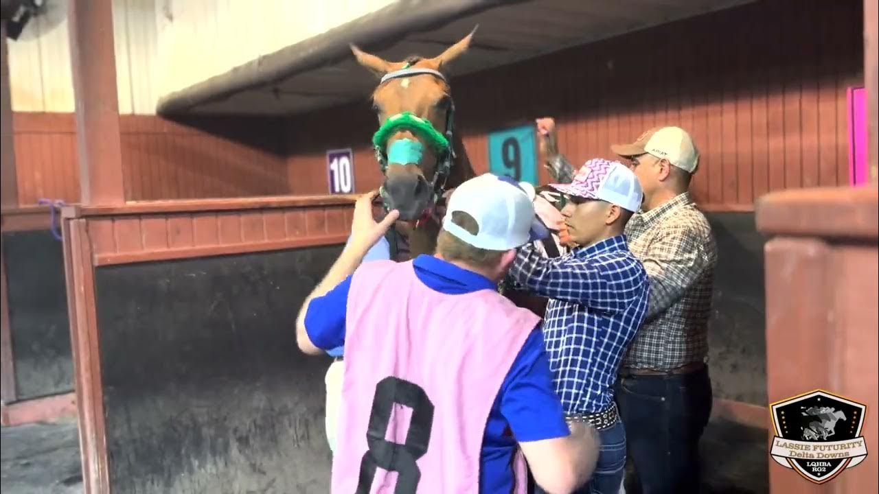2024 LQHBA Lassie Futurity(RG2) Recap YouTube