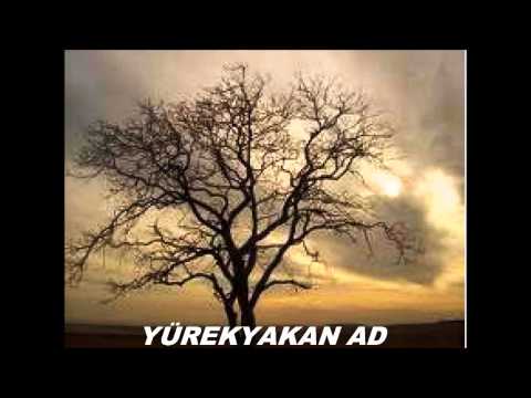 Erkan Ogur-Zeynebim ( Yürekyakan AD)