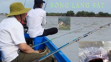 Câu cá ngát sông Láng Sắt