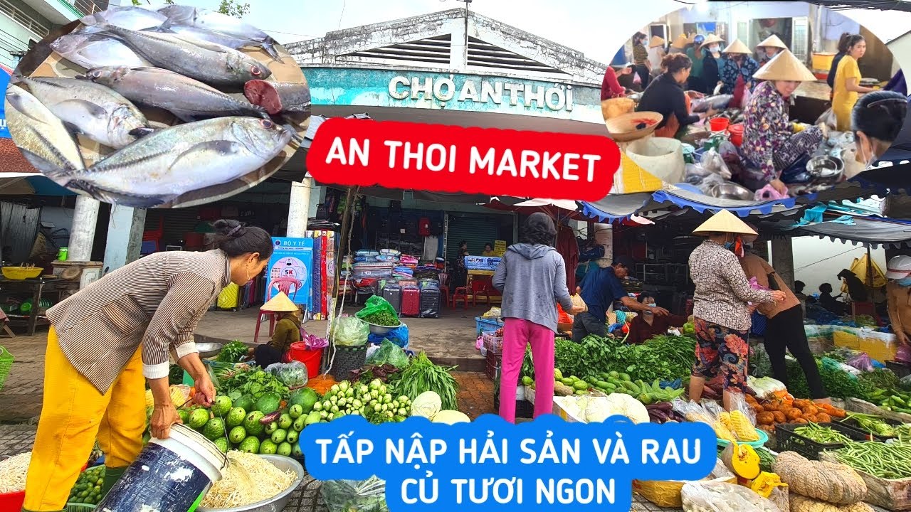 Chợ An Thới, Phú Quốc- Tấp nập HẢI SẢN và RAU CỦ Tươi Ngon, Chợ Cảng lớn nhất nhì Đảo Ngọc | KPVL