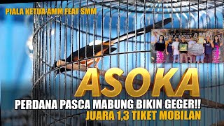 COME BACK🔥 Murai Batu ASOKA Perdana Turun Pasca Mabung Bikin Geger!!