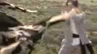 Matrix vs. Cow - Kung-fu fighting.mp4