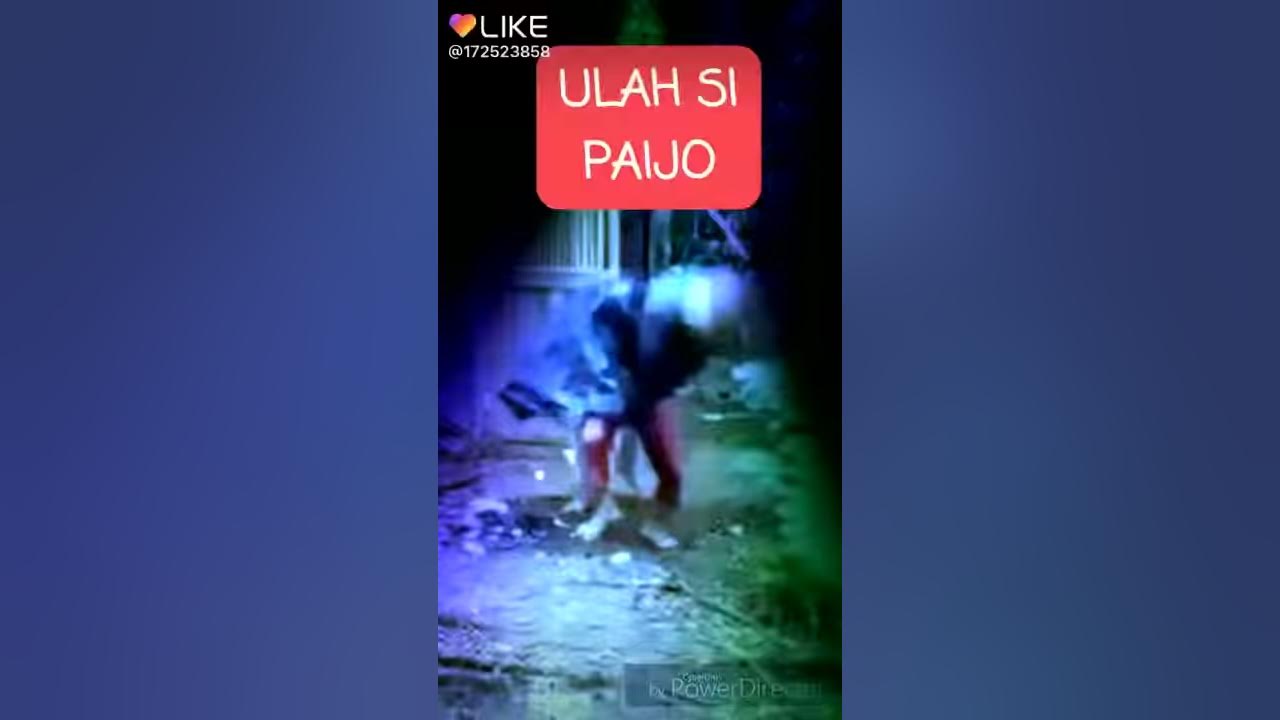 Paijo