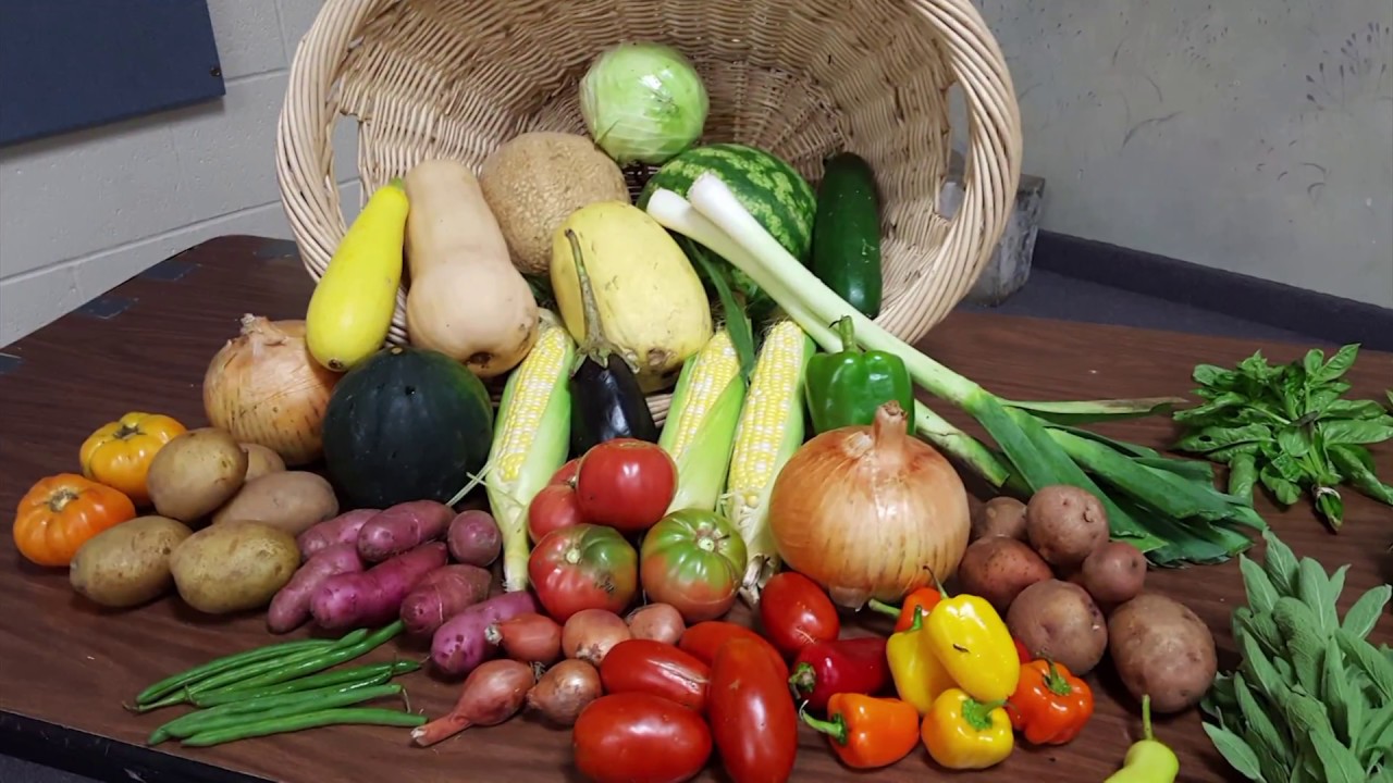 Maddox Farm CSA Program 2017 YouTube