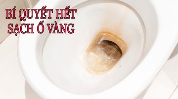 CÁCH TẨY TRẮNG BỒN CẦU BỊ Ố VÀNG LÂU NGÀY CỰC NHANH KHÔNG CẦN CHẤT TẨY RỬA MẠNH VẪN SẠCH SẺ